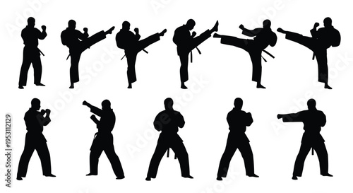Silhouettes of martial artists demonstrating various combat stances and techniques