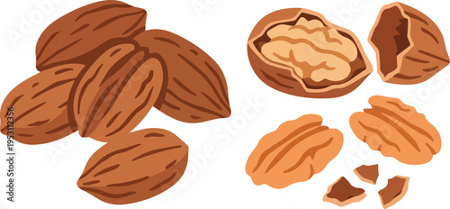 Brown walnuts and cracked walnut shells.