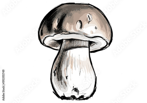 Hand-drawn illustration of a single porcini mushroom with a thick stem and brown cap