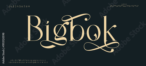 Bigbok Elegant alphabet letters font and number. Classic Copper Lettering Minimal Fashion Designs. Typography fonts regular uppercase and lowercase. vector illustration