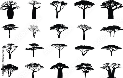 Collection of twenty diverse African savanna tree silhouettes on white background african trees