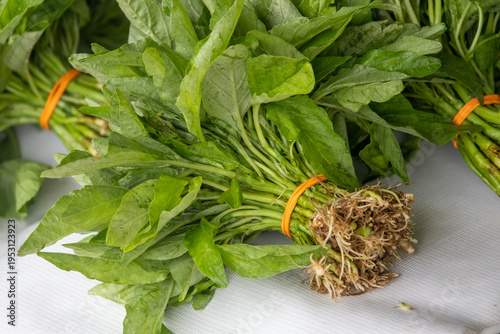 Bayam, or Chinese Spinach sold on market in Kuching, Malaysia.