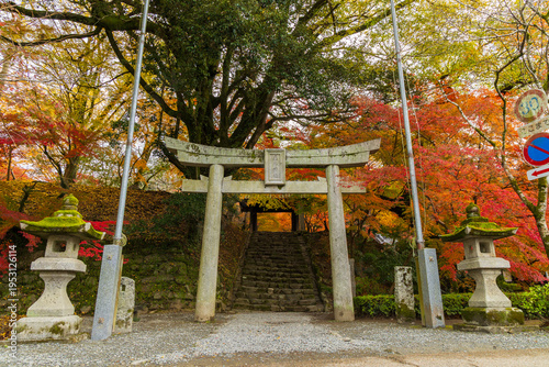 Bild auf Leinwand 日本の風景・秋　福岡　紅葉の秋月城跡