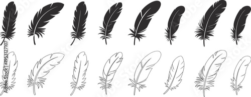  Feather Silhouette: An artistic arrangement of feathers in silhouette, displaying the intricate details and delicate forms of the individual feathers.