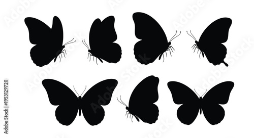 Graceful silhouettes of butterflies in symmetrical flight patterns against a plain background
