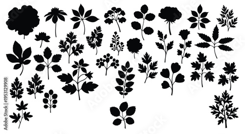 Various black and white botanical leaf illustrations scattered across a plain background