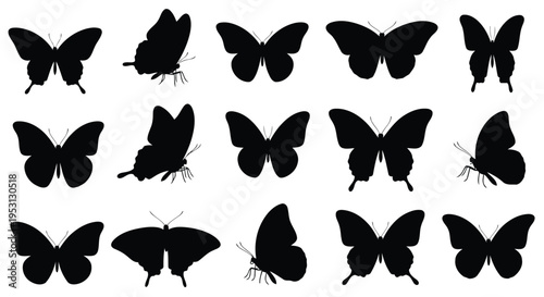 Black and white silhouettes of various butterfly species in flight and resting positions