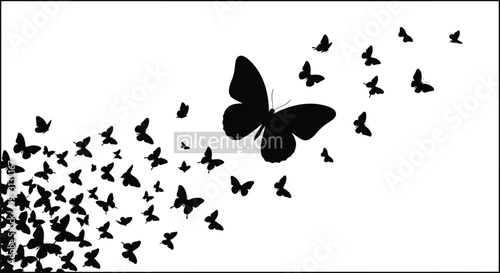 Elegant butterfly leading a flock of smaller birds in a minimalist black and white art piece