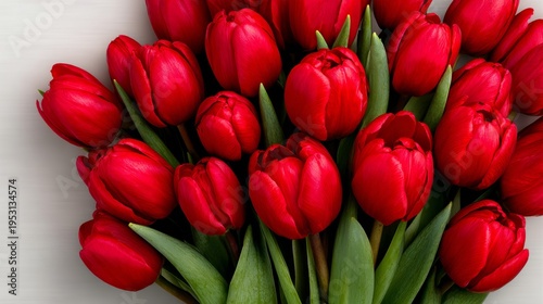 Vibrant red tulips bloom tightly together, green stems support rich petals. No people present. Ideal for spring, romance, or floral design themes. Clean white background enhances color contrast