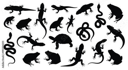 Diverse silhouettes of reptiles and amphibians in black and white graphic style