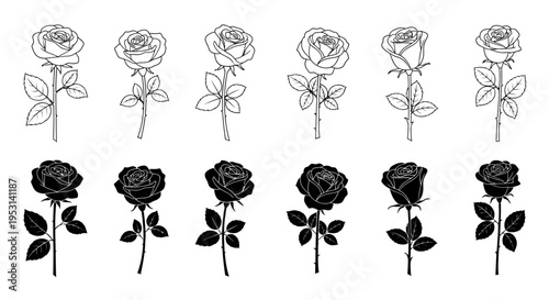 elegant rose illustrations a versatile set of outline and silhouette floral designs perfect for tattoos cards and romantic themes.