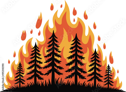 Vector illustration of a forest fire with silhouette pine trees and large orange flames isolated on a white background