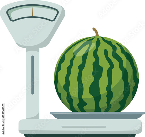 Whole Green Striped Watermelon on Vintage Grocery Scale Fresh Fruit and Healthy Food Concept Vector Illustration