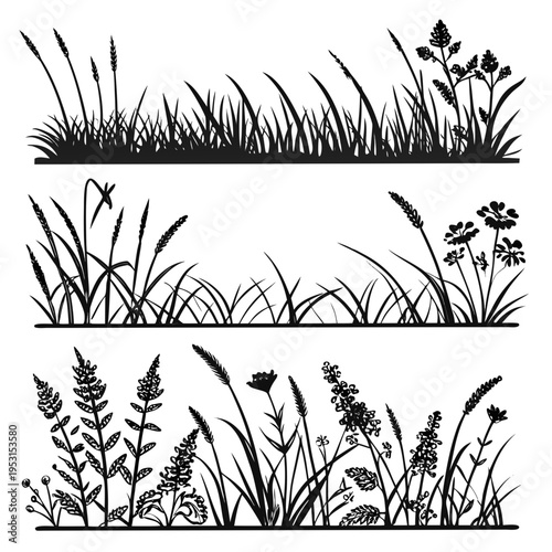 Set of grass and wildflower silhouettes in horizontal rows for landscape borders and nature inspired graphic design featuring various plant species