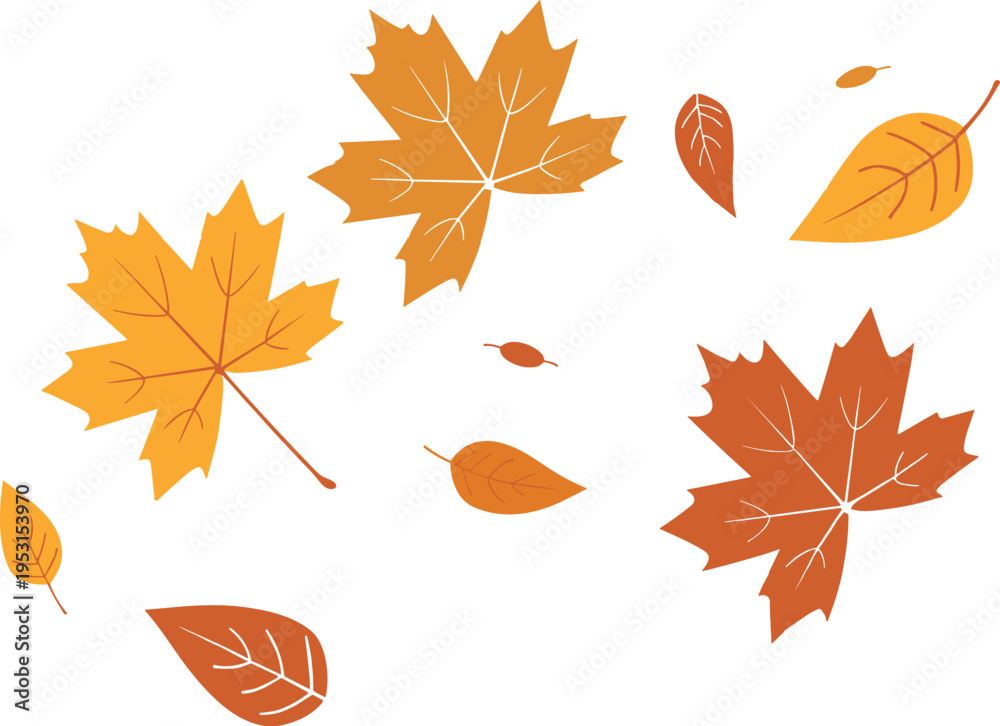 Naklejka premium Autumn leaves falling on white background leaf maple leaf