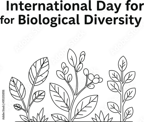 Celebrating the international day for biological diversity with nature illustrations