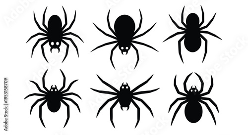 Six black spiders arranged neatly in two horizontal rows of three each.