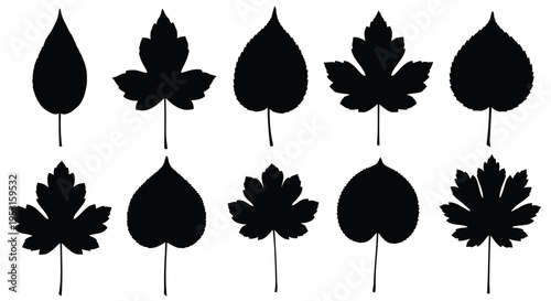 Various stylized black silhouettes of maple leaves arranged in a grid pattern