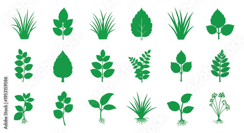 A collection of diverse green leaf and plant icon illustrations