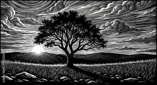 Tree Silhouette Against Sunset Sky.