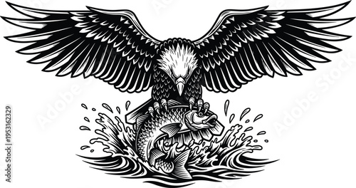 Majestic eagle catching fish from water splash detailed black and white wildlife vector illustration powerful bird predator hunting emblem design