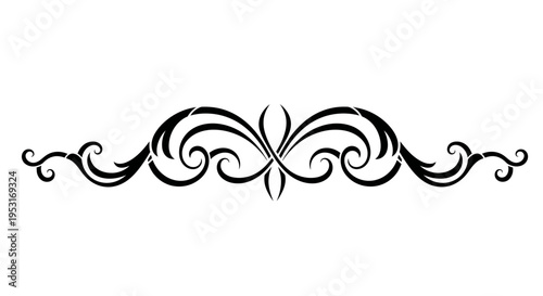 Elegant Black and White Swirl Border Design - Vector Ornament