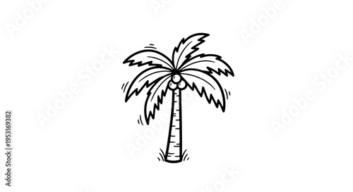 Black and White Line Art Palm Tree with Coconuts
