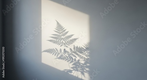 Fern shadow on wall. Botanical light effect. Minimalist aesthetic. Natural light background.