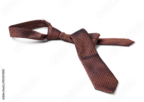 Stylish brown male tie isol...