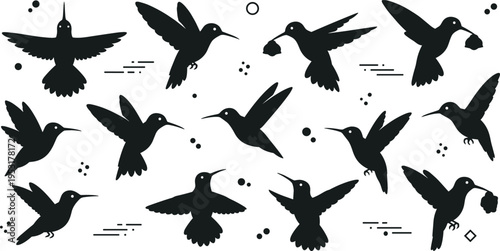 Hummingbird silhouettes set in flight with different poses, black bird collection isolated, nature wildlife design elements vector illustration pack