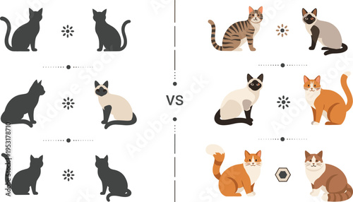 Cat breeds comparison set with silhouettes versus realistic cats, different domestic feline types collection for pet identification vector illustration pack