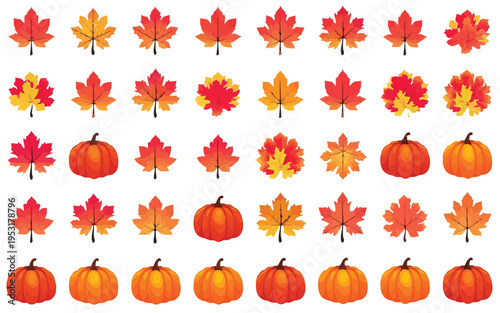 Colorful autumn leaves and pumpkins in a festive seasonal arrangement Vector