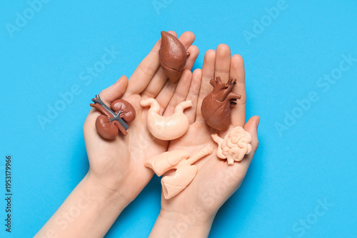 Female hands with human int...