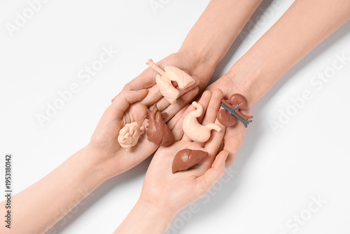 Female hands with human int...