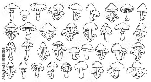 Mushroom Doodle Collection. Hand-drawn Fungi Illustrations. Sketchy Forest Elements. Line Art Design Set.