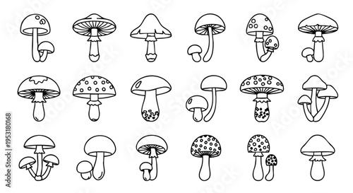 Mushroom Collection. Fungi Line Art Set. Doodle Outline Sketch. Hand Drawn Icons.