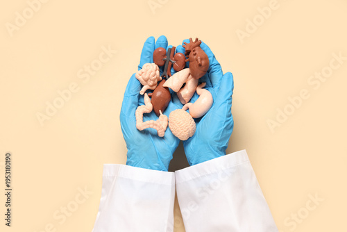 Female doctor's hands with ...