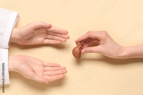 Female doctor's hands with ...