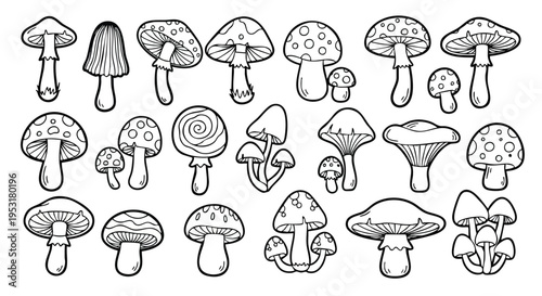 Mushrooms Doodle Set. Hand-drawn Fungi Collection. Outline Sketch Style. Botanical Illustration.