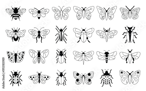 Diverse illustrations of insects including bees, wasps, and butterflies in black and white Vector