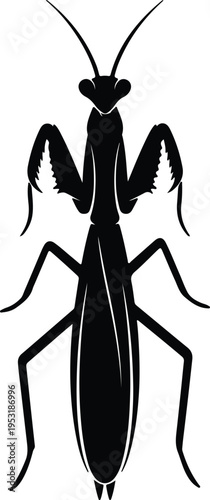 Silhouette of a praying mantis insect top view isolated vector design