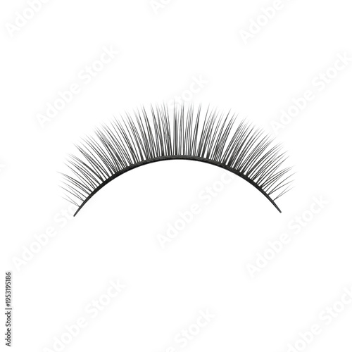 meticulously detailed dark human eyelashes, upward curved, isolated in an extreme macro shot against a shadowless transparent background, concept of high-end cosmetic precision