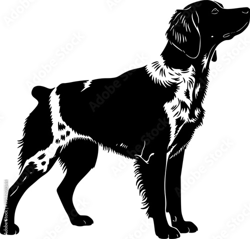 Illustration of two english setter dogs one in outline and one in solid black silhouette style image editable vector
