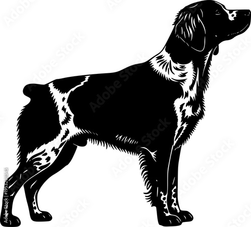 Illustration of two english setter dogs one in outline and one in solid black silhouette style image editable vector
