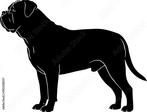 Illustration of two english setter dogs one in outline and one in solid black silhouette style image editable vector
