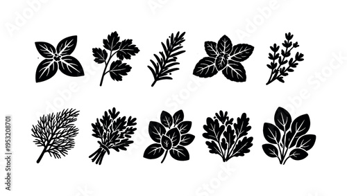 Herbs Collection Silhouette