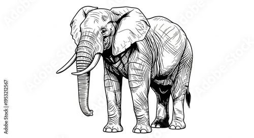 Detailed Line Drawing of a Majestic African Elephant Standing Tall.