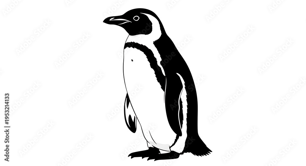 Obraz premium Elegant penguin illustration in black and white a simple vector graphic on transparent background