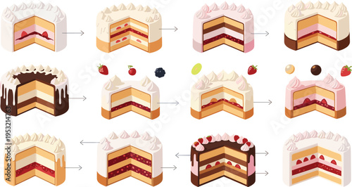 Layered Cake Slice Variations Set with Cream, Chocolate, Fruit Fillings, Step by Step Assembly, and Delicious Dessert Cross Section Illustrations