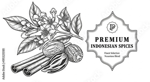 Detailed botanical illustration of Indonesian spices - cinnamon, nutmeg, and mace with floral elements.